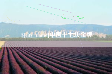 昌乐中国十七块金牌