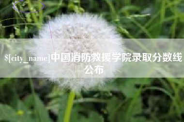 昌乐中国消防救援学院录取分数线公布