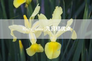 昌乐九宫格优点