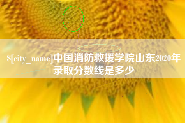 昌乐中国消防救援学院山东2020年录取分数线是多少