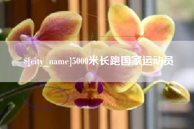 昌乐5000米长跑国家运动员