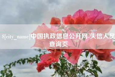 昌乐中国执政信息公开网-失信人员查询页