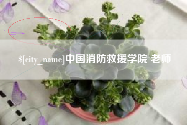 昌乐中国消防救援学院 老师