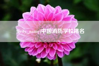 昌乐中国消防学校排名