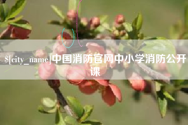 昌乐中国消防官网中小学消防公开课