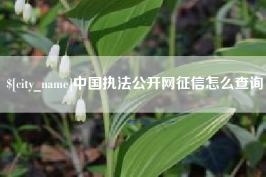 昌乐中国执法公开网征信怎么查询