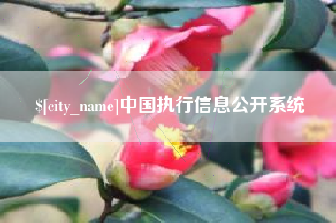 昌乐中国执行信息公开系统