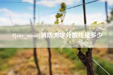 昌乐消防大学分数线是多少