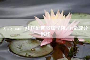昌乐中国消防救援学院2019录取分数线