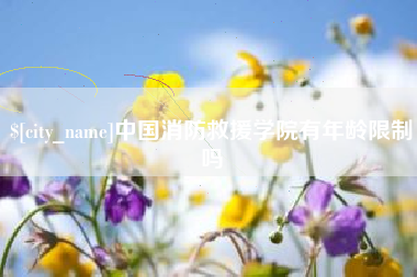 昌乐中国消防救援学院有年龄限制吗