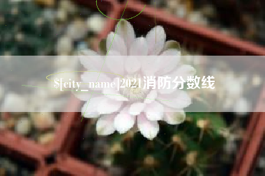 昌乐2021消防分数线