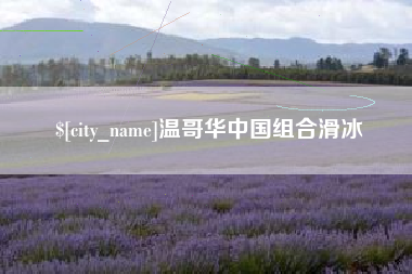 昌乐温哥华中国组合滑冰