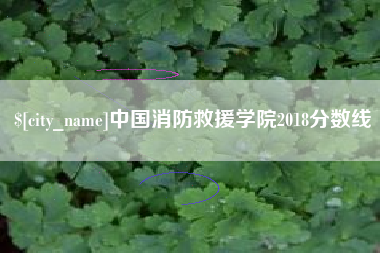 昌乐中国消防救援学院2018分数线