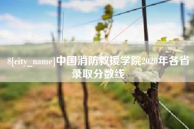 昌乐中国消防救援学院2020年各省录取分数线