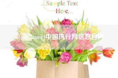 昌乐中国执行网信息官网