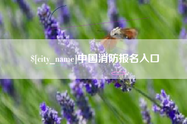 昌乐中国消防报名入口