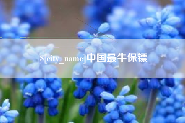 昌乐中国最牛保镖
