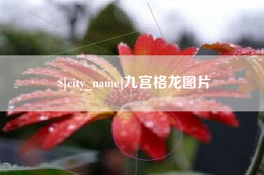 昌乐九宫格龙图片