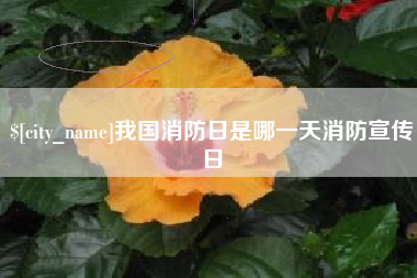 昌乐我国消防日是哪一天消防宣传日