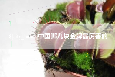 昌乐中国哪九块金牌最厉害的