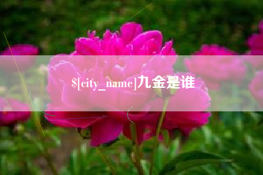 昌乐九金是谁