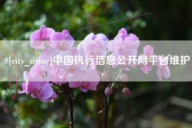 昌乐中国执行信息公开网平台维护