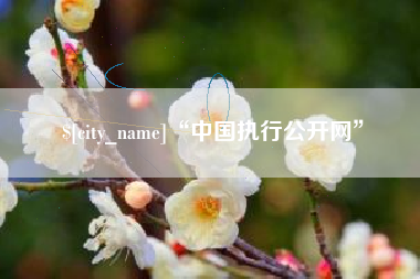 昌乐“中国执行公开网”