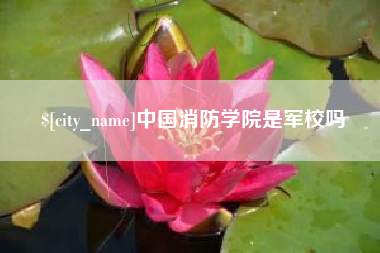 昌乐中国消防学院是军校吗