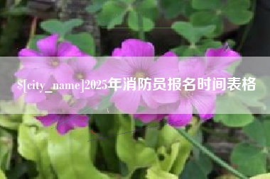 昌乐2025年消防员报名时间表格