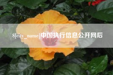 昌乐中国执行信息公开网后