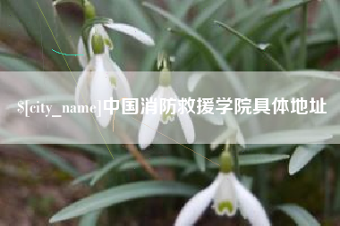 昌乐中国消防救援学院具体地址