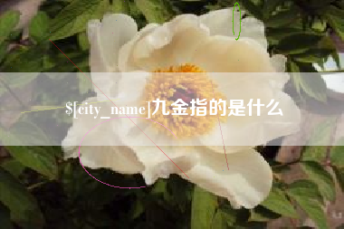 昌乐九金指的是什么
