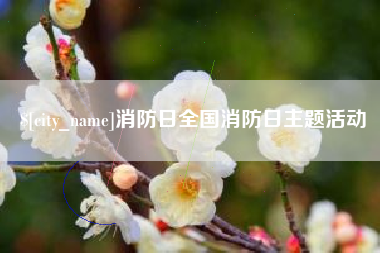 昌乐消防日全国消防日主题活动