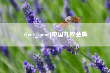 昌乐中国九枚金牌
