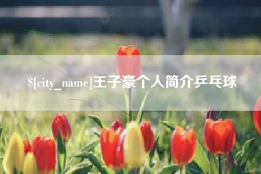 昌乐王子豪个人简介乒乓球