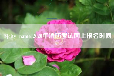 昌乐2020年消防考试网上报名时间
