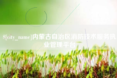 昌乐内蒙古自治区消防技术服务执业管理平台