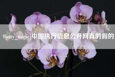 昌乐中国执行信息公开网真的假的