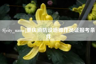 昌乐重庆消防设施操作员证报考条件