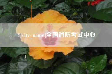 昌乐全国消防考试中心