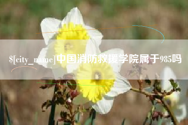 昌乐中国消防救援学院属于985吗