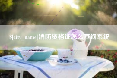 昌乐消防资格证怎么查询系统