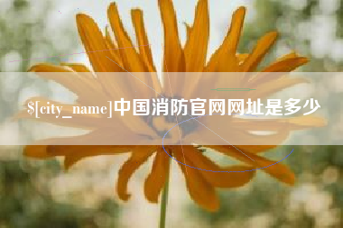 昌乐中国消防官网网址是多少