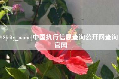 昌乐中国执行信息查询公开网查询官网