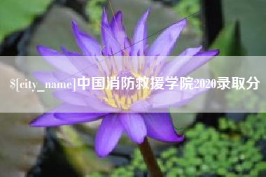 昌乐中国消防救援学院2020录取分