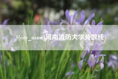 昌乐河南消防大学分数线