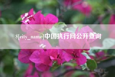 昌乐中国执行网公开查询