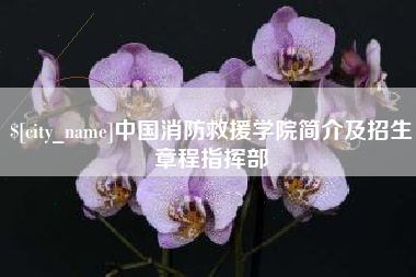 昌乐中国消防救援学院简介及招生章程指挥部