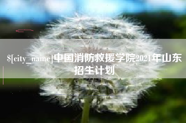 昌乐中国消防救援学院2021年山东招生计划