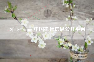 昌乐中国执行信息公开平台